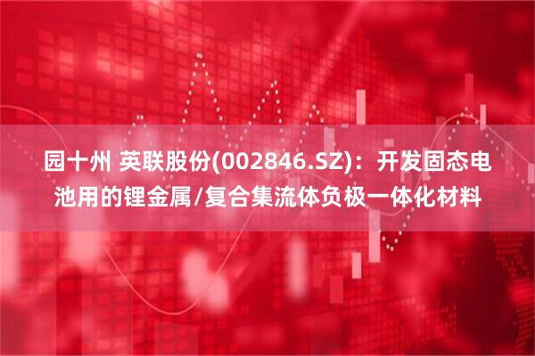 园十州 英联股份(002846.SZ)：开发固态电池用的锂金属/复合集流体负极一体化材料