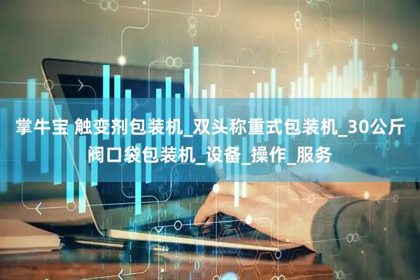 掌牛宝 触变剂包装机_双头称重式包装机_30公斤阀口袋包装机_设备_操作_服务