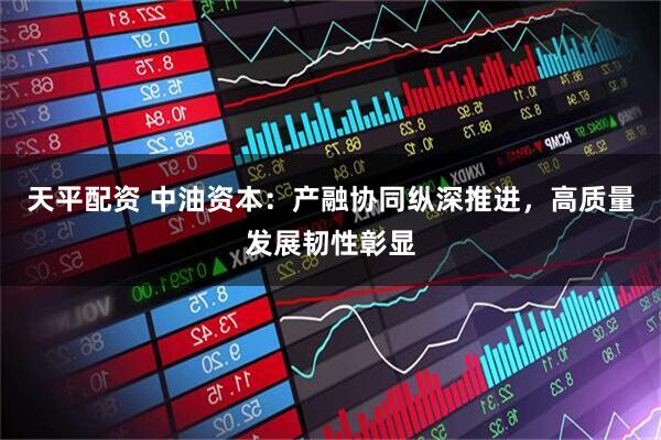 天平配资 中油资本：产融协同纵深推进，高质量发展韧性彰显